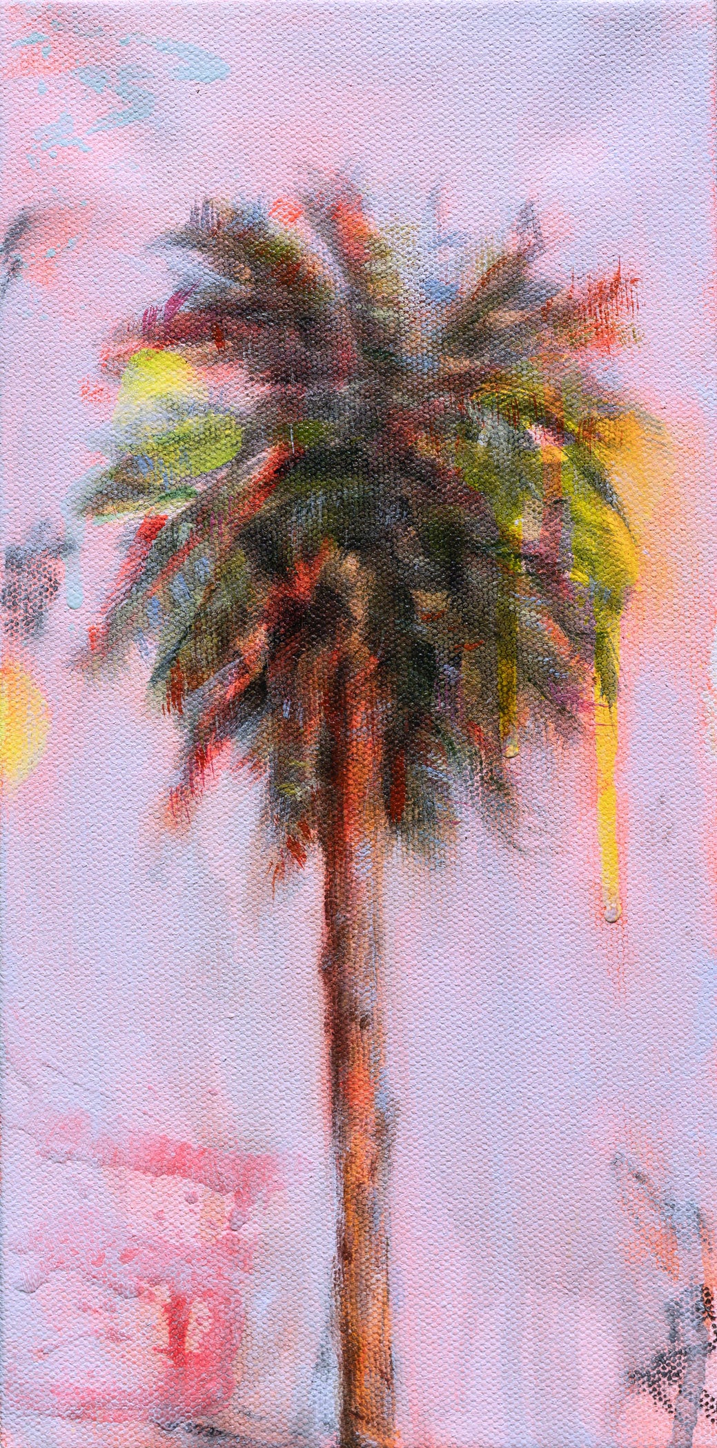 Tropical Expedition